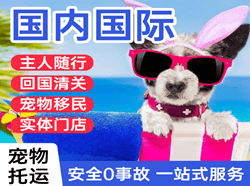 贵阳航空货运国际宠物托运 【国